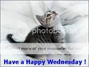 HaveaHappyWednesdayCat.jpg image by blaskat