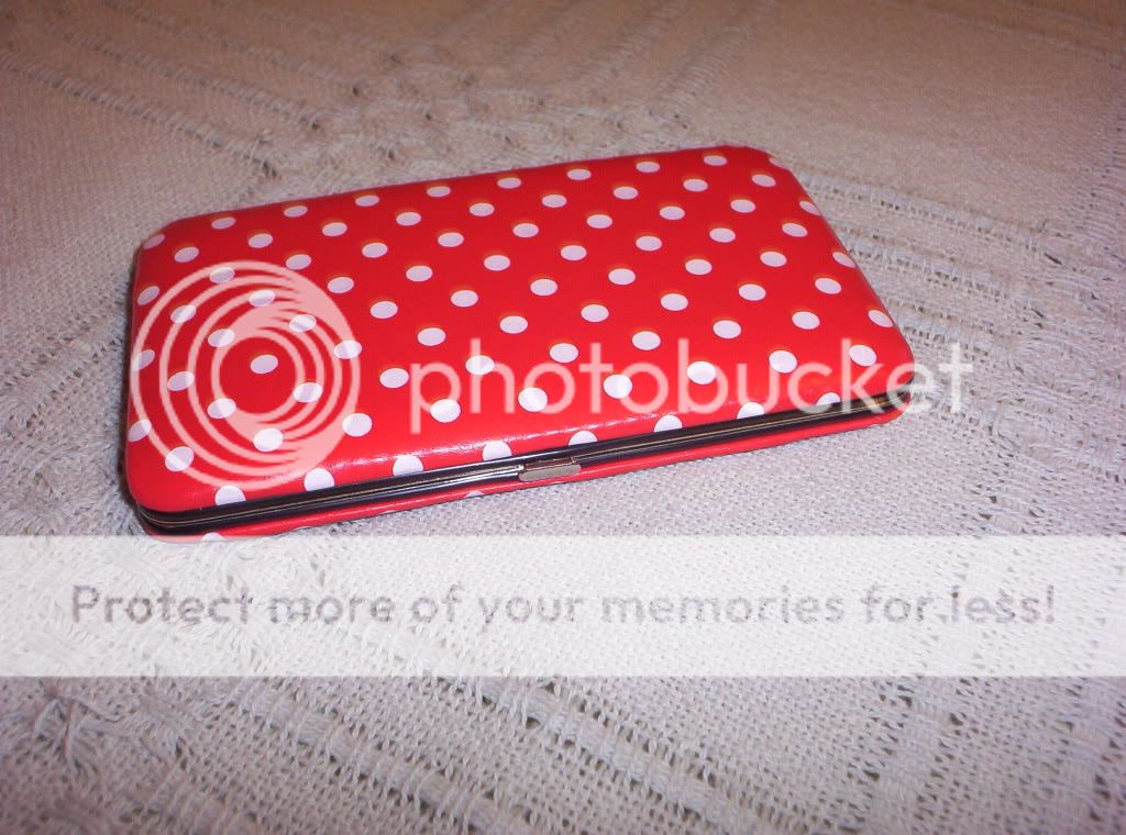 000_0958.jpg polka dot checkbook picture by spark56_photo