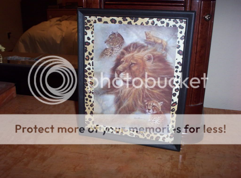 000_0961.jpg My Lion picture by spark56_photo