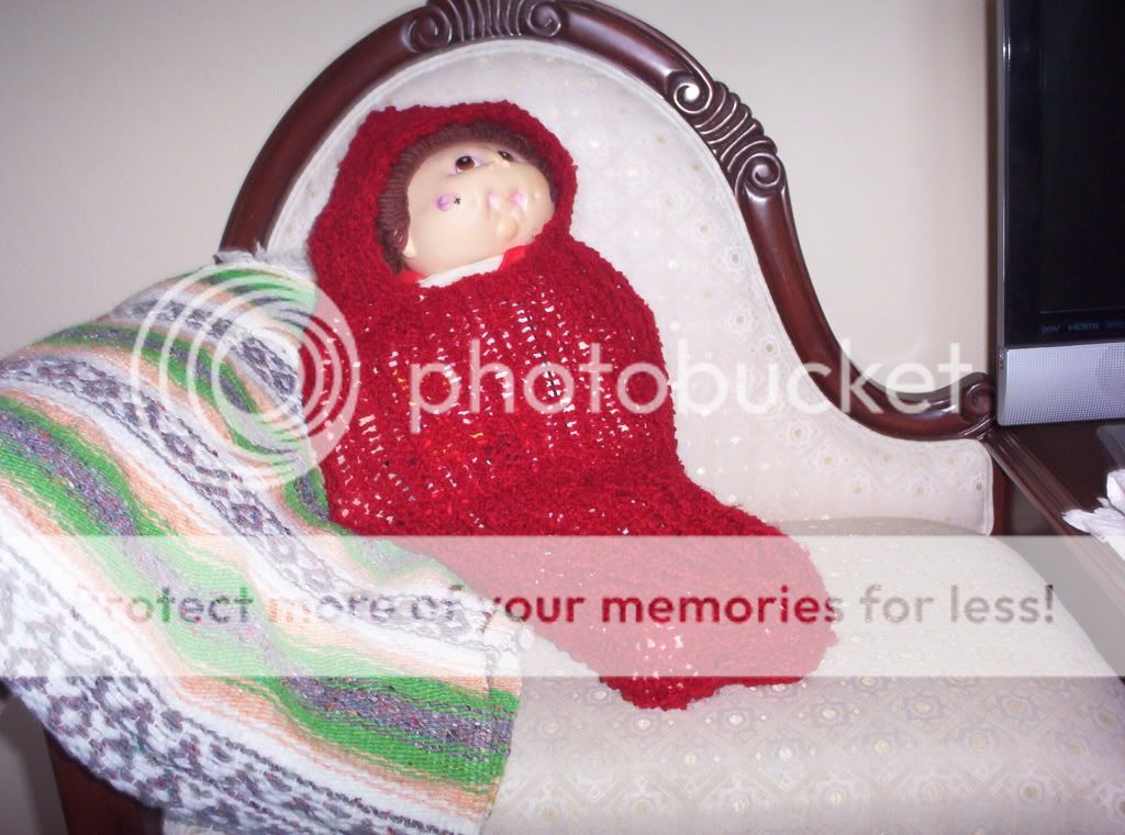 000_0963.jpg Cacoon picture by spark56_photo