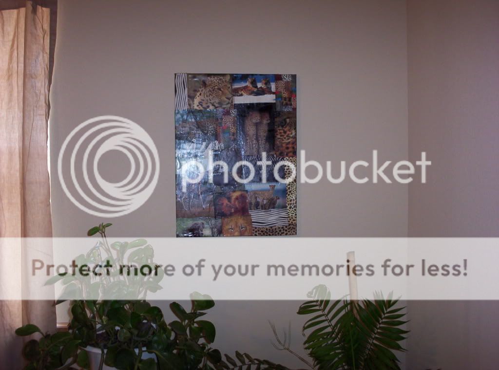 000_0968.jpg animal print 1 picture by spark56_photo