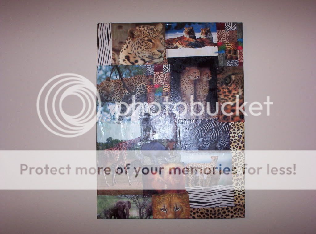 000_0970.jpg animals 2 picture by spark56_photo