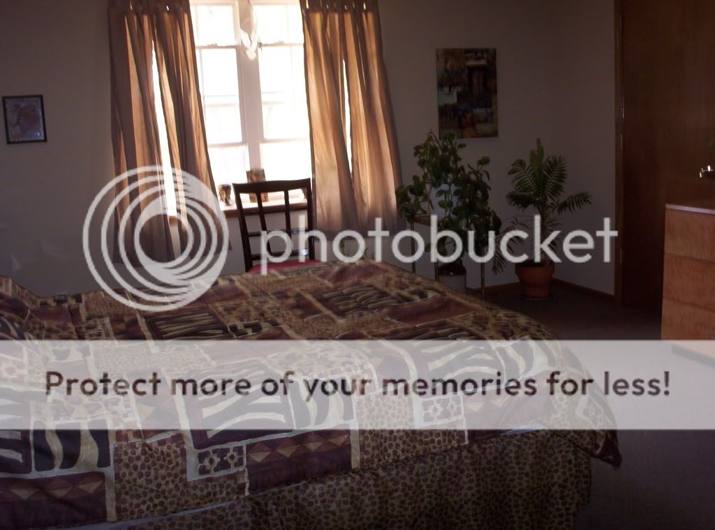 000_0996.jpg jungle bedroom 2 picture by spark56_photo