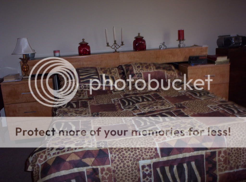 000_0997.jpg jungle bedroom 1 picture by spark56_photo