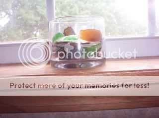 000_1036.jpg sea glass 2009 picture by spark56_photo