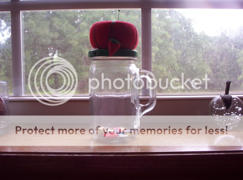 000_1037.jpg button and pin holder picture by spark56_photo