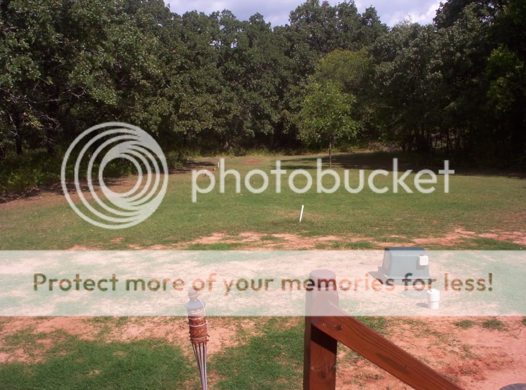 000_1173.jpg Red fox picture by spark56_photo