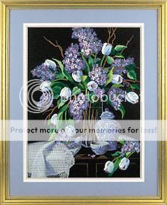 Misskitty1.jpg blue picture by spark56_photo