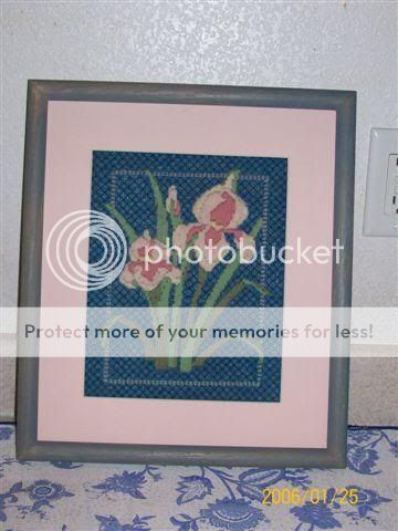 flowers050.jpg iris picture by spark56_photo