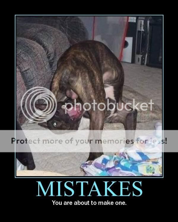 Posted Image