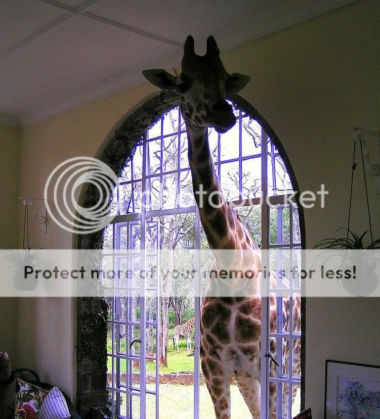 only_in_africa_25.jpg