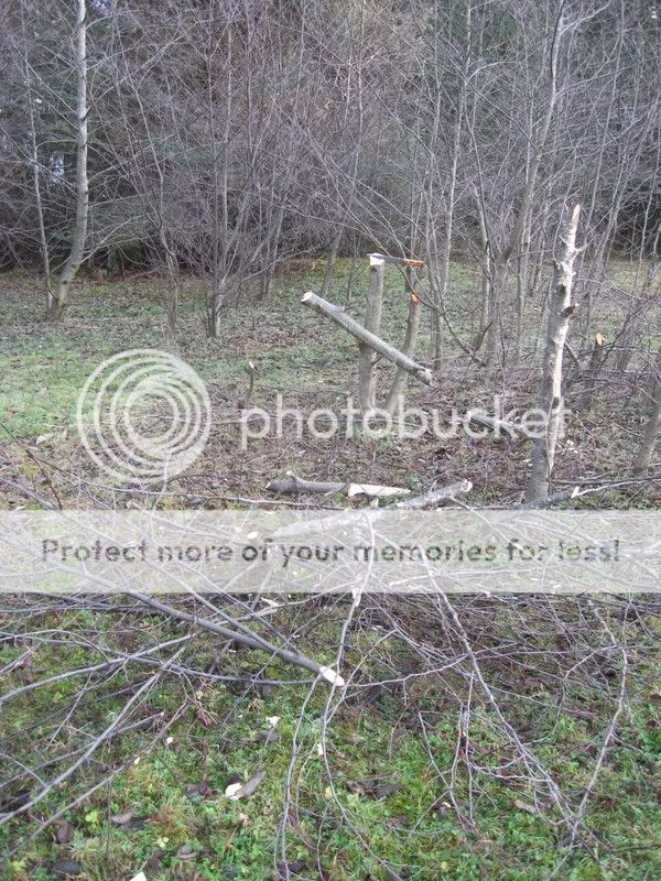 [Linked Image from i321.photobucket.com]