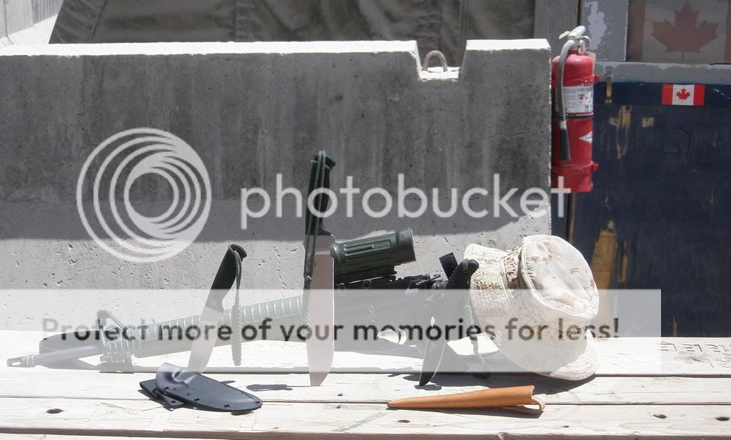 [Linked Image from i321.photobucket.com]