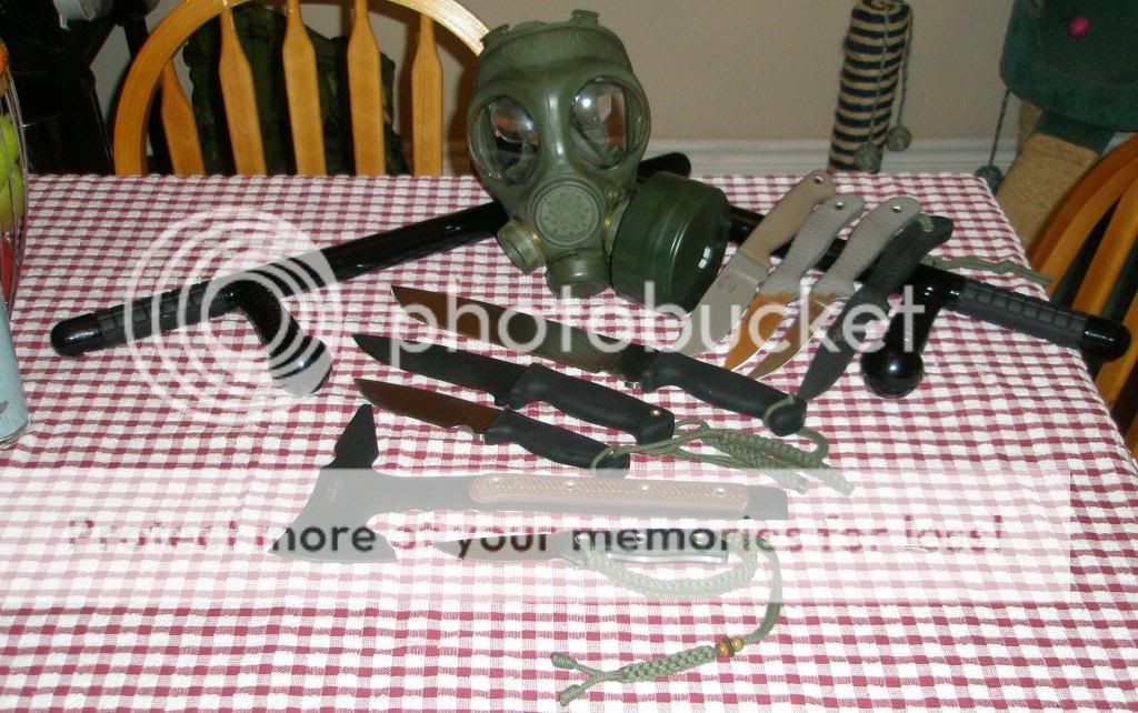 [Linked Image from i321.photobucket.com]